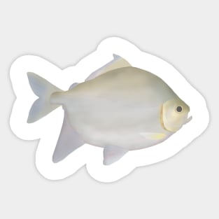 Pacu Murutinga Sticker